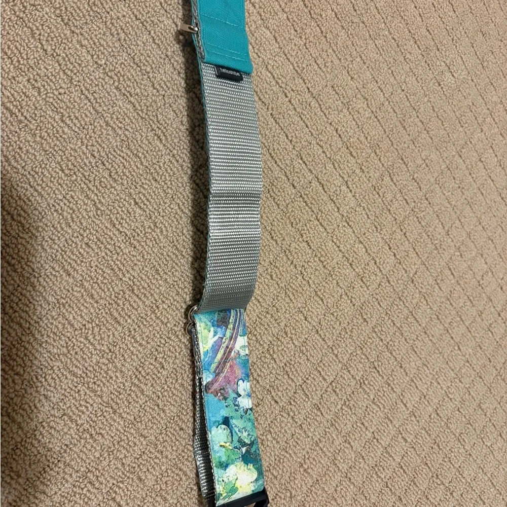 Stylish Teal Dog Collar with Glitter Accents by Hellowshibe